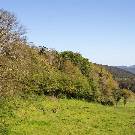 컨트리하우스 Casa Fiadeiras De Con Jacuzzi *